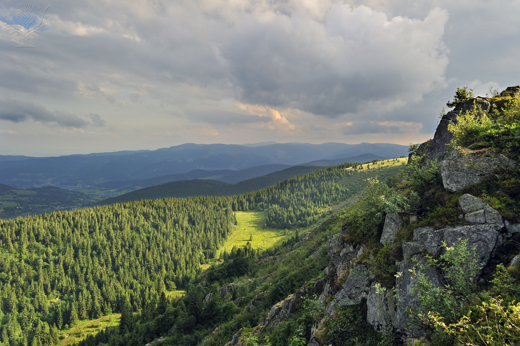 View over the Vosges mountains - Britannica