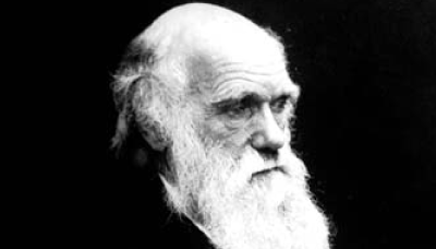 Classroom Activity: Darwin Day - image